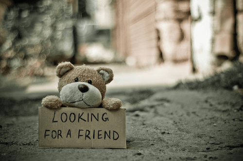 Stuffed Bear