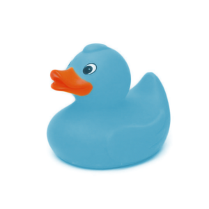 In Memory of Duck