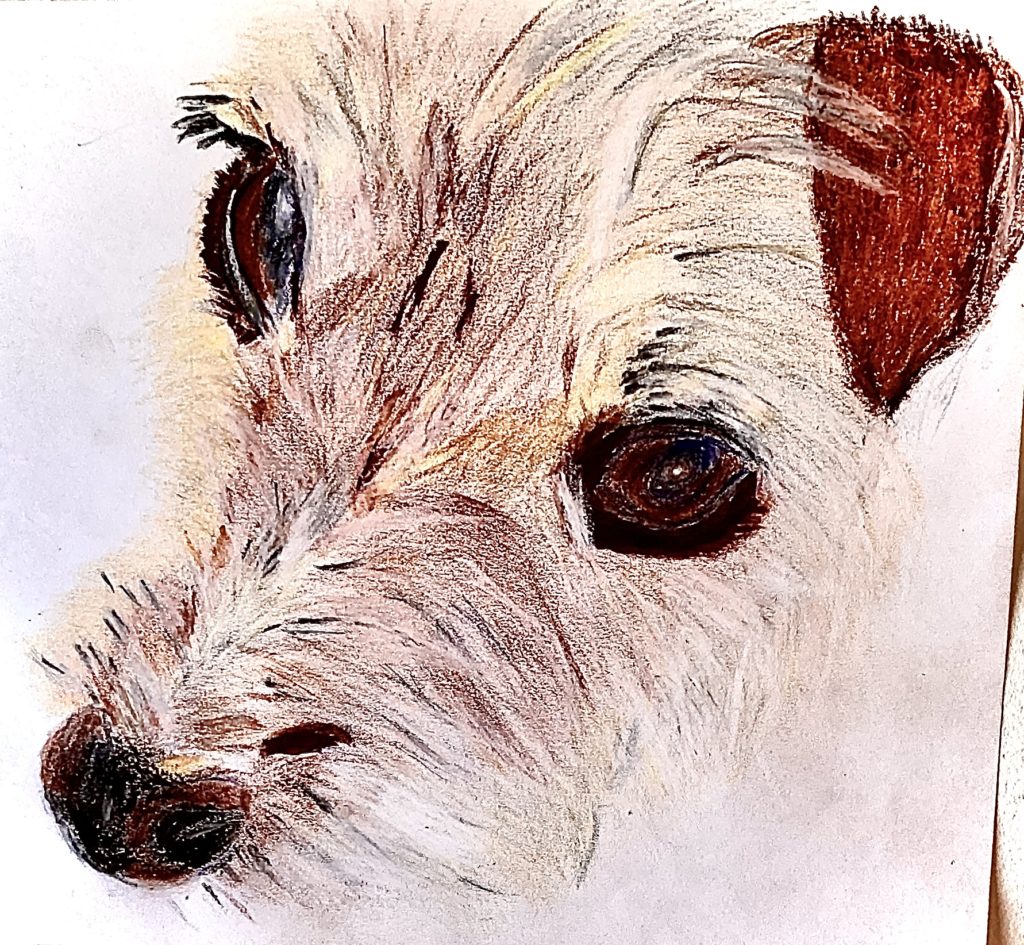 Colored pencil portrait of a dog